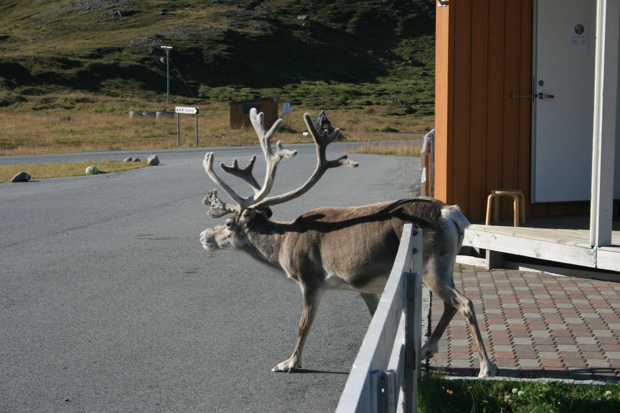 Nordkapp Camping Honningsvåg Buitenkant foto